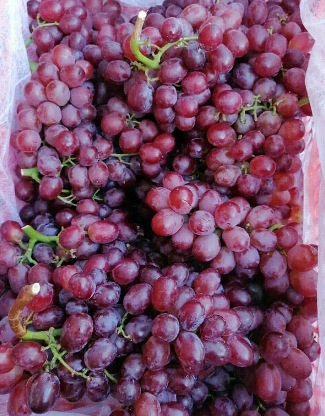 Fresh grapes for OfficeFruits fruit mix